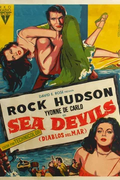 Affiche du film La belle espionne
