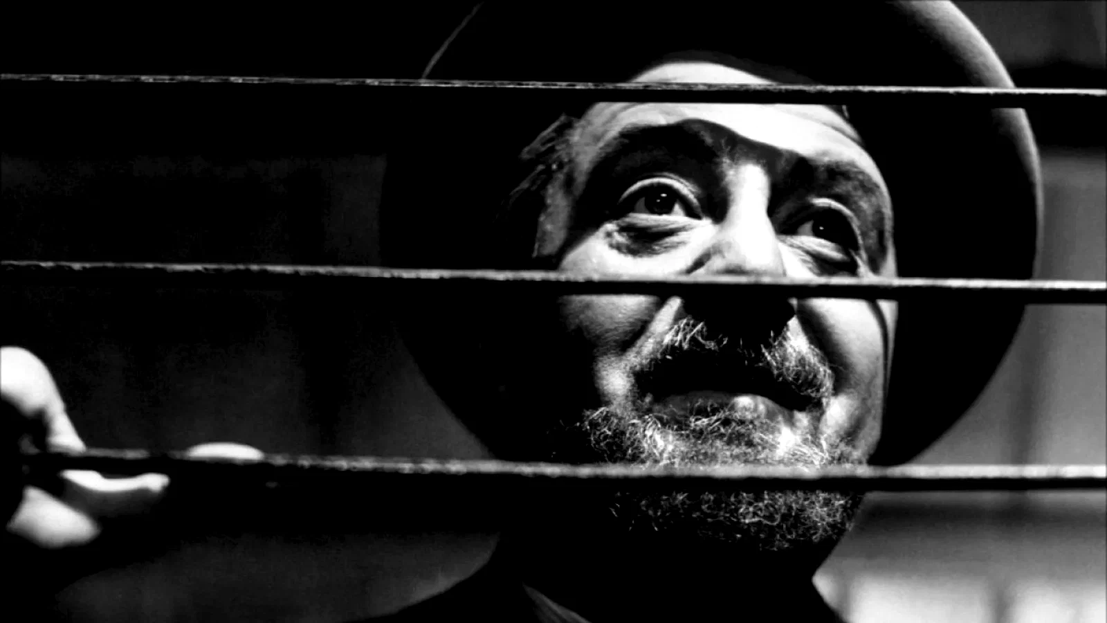 Photo 2 du film : Ces messieurs de la sante
