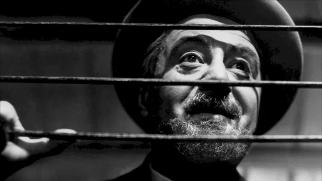 Photo 2 du film : Ces messieurs de la sante