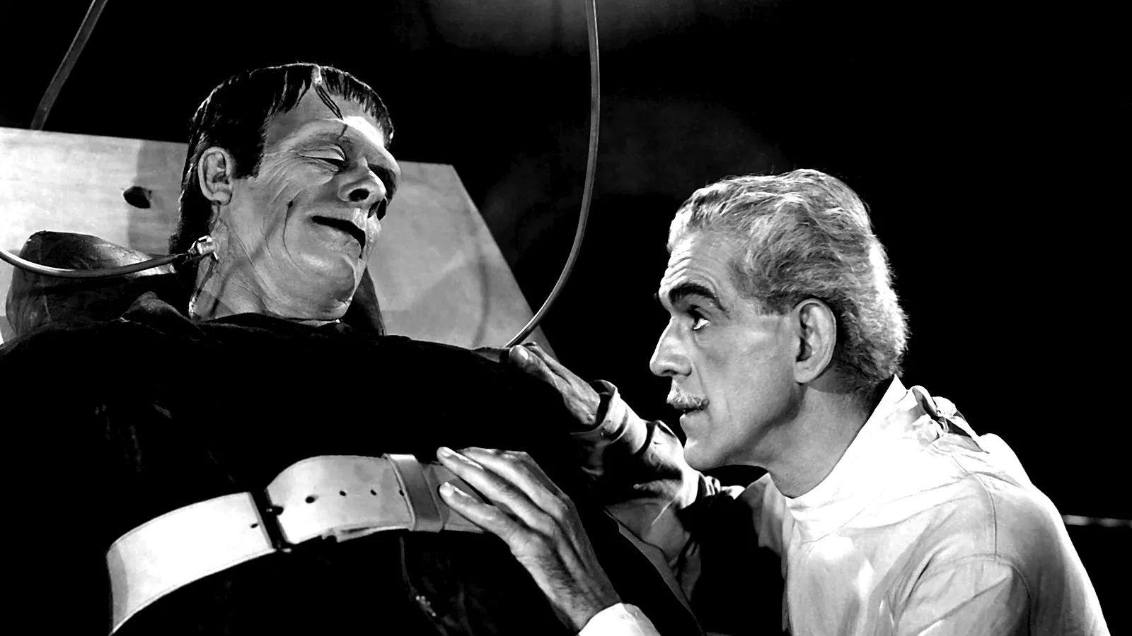 Photo 2 du film : La maison de frankenstein