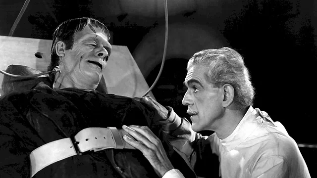 Photo du film : La maison de frankenstein