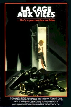Affiche du film La cage aux vices