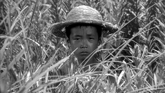 Photo 2 du film : Traquenard