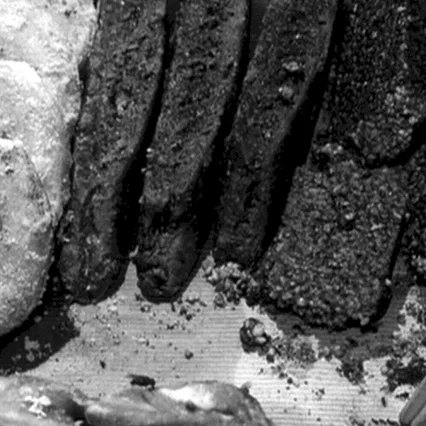 Miniature photo du film : Traquenard