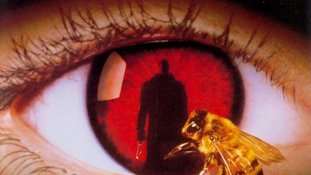 Photo 3 du film : Candyman