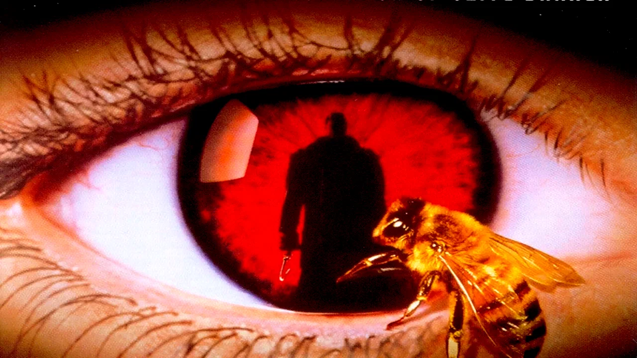 Photo 4 du film : Candyman