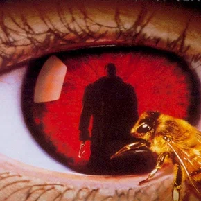 Photo du film : Candyman