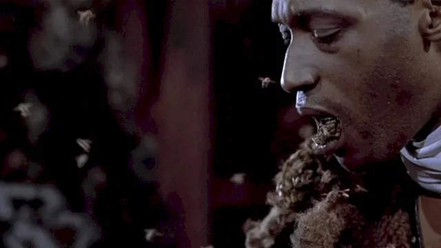 Photo 6 du film : Candyman
