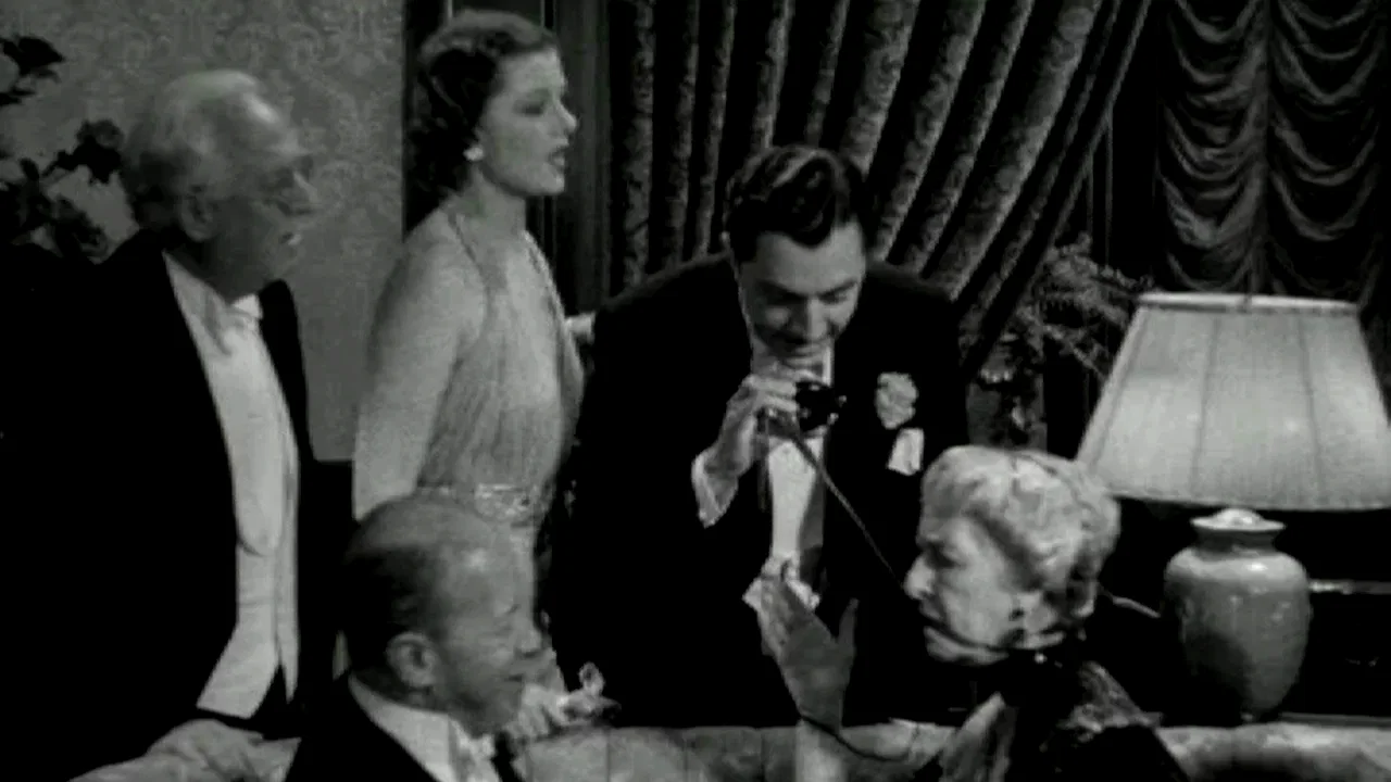 Photo 3 du film : Nick gentleman detective