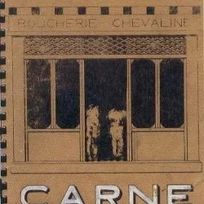 Photo du film : Carne
