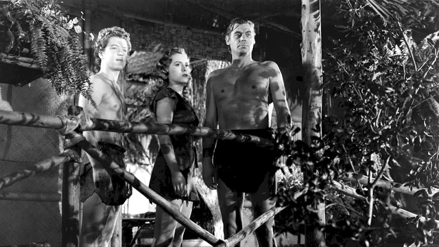 Photo 3 du film : Tarzan et la chasseresse