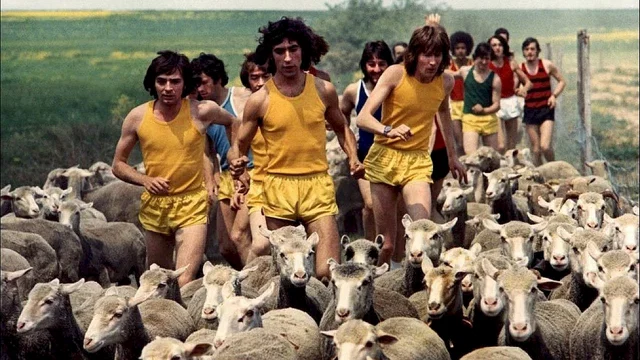 Photo 2 du film : Les fous du stade