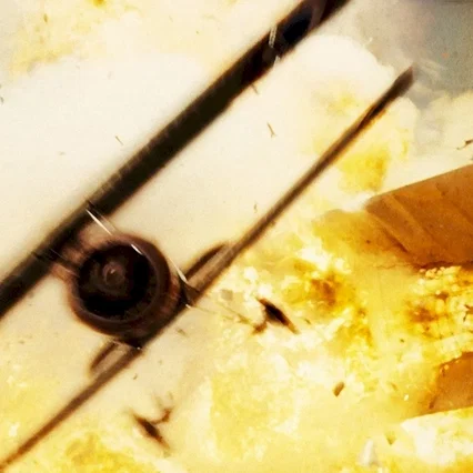 Miniature photo du film : Flyboys