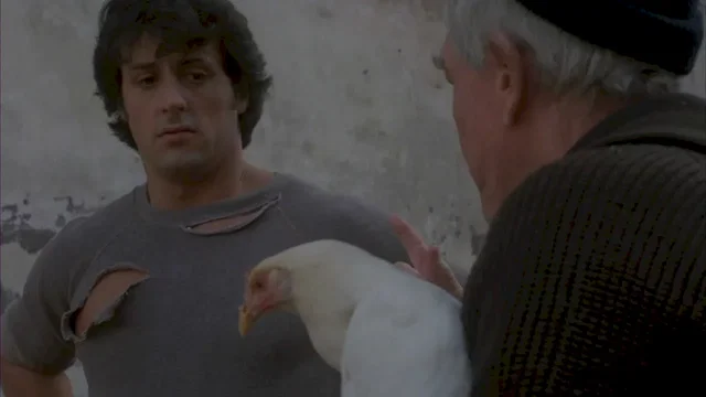 Photo 5 du film : Rocky II, la revanche