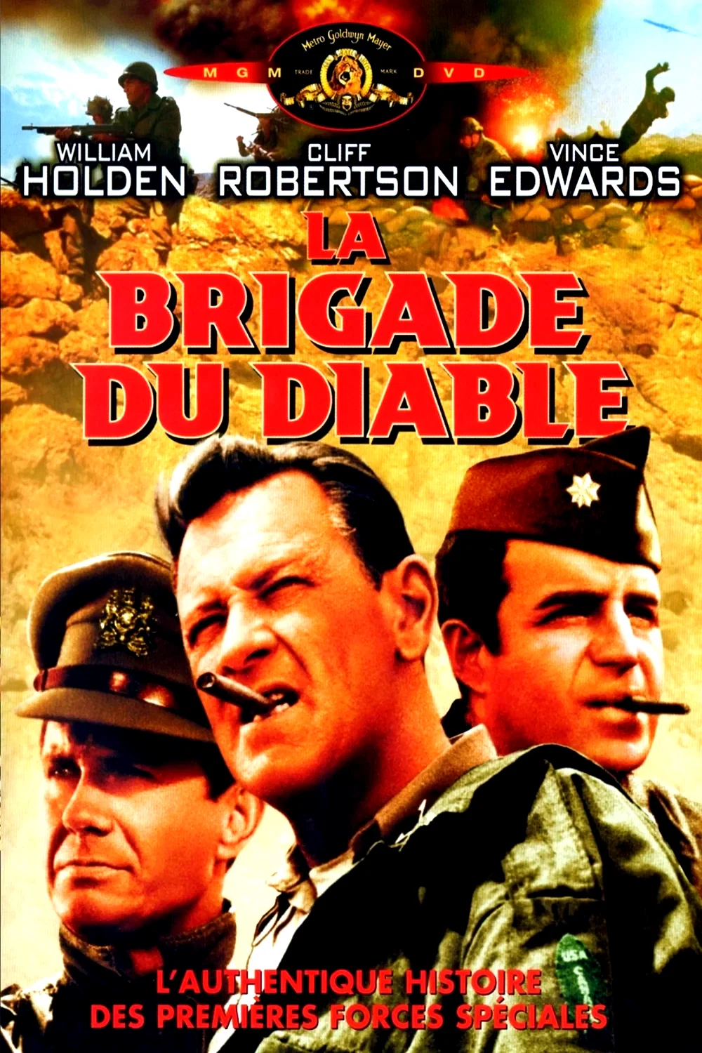 Affiche du film : La brigade du diable
