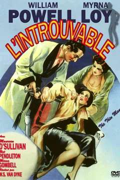 Affiche du film L'introuvable