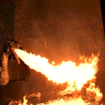 Miniature photo du film : Le dragon du lac de feu