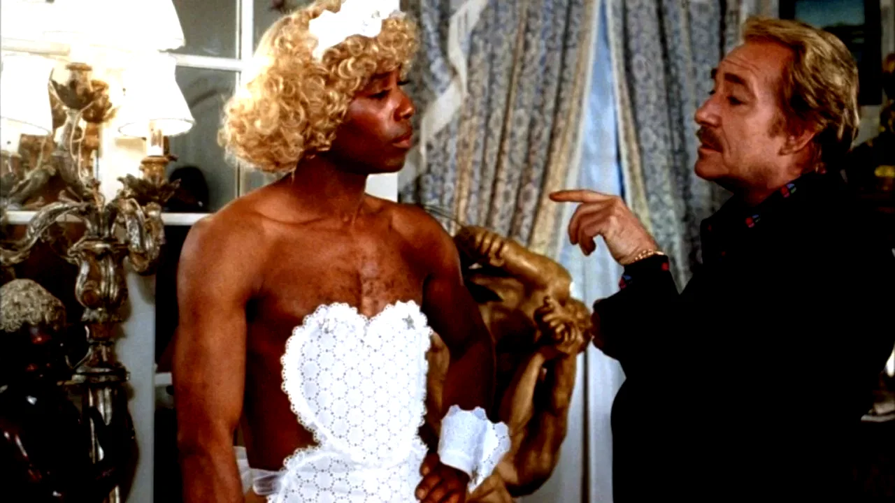 Photo 4 du film : La cage aux folles