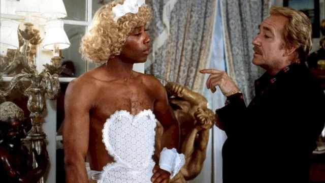 Photo du film : La cage aux folles