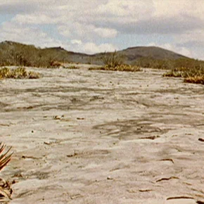 Photo du film : Antonio das mortes