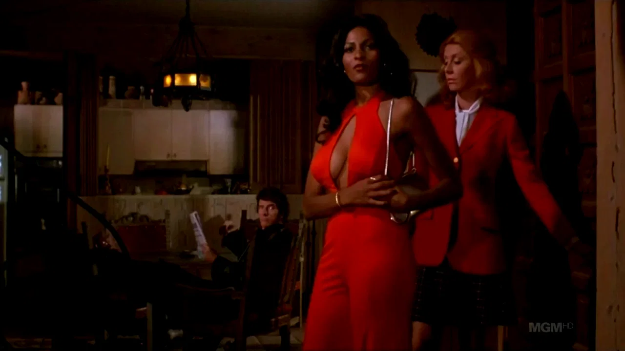 Affiche du film : Foxy brown