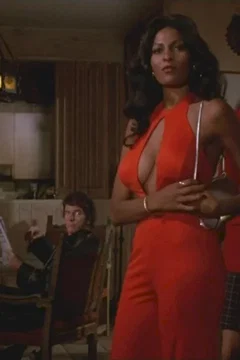 Affiche du film Foxy brown