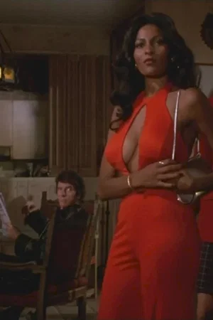 Affiche du film : Foxy brown
