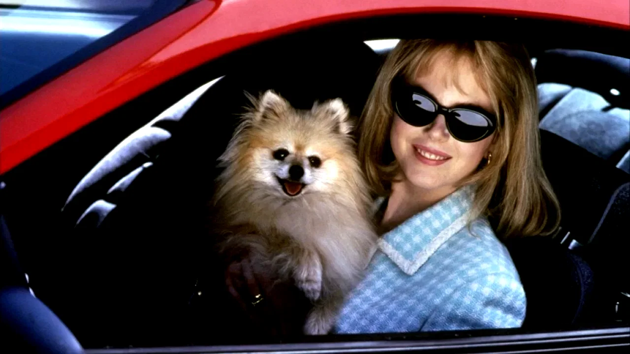 Photo 2 du film : Prete a tout