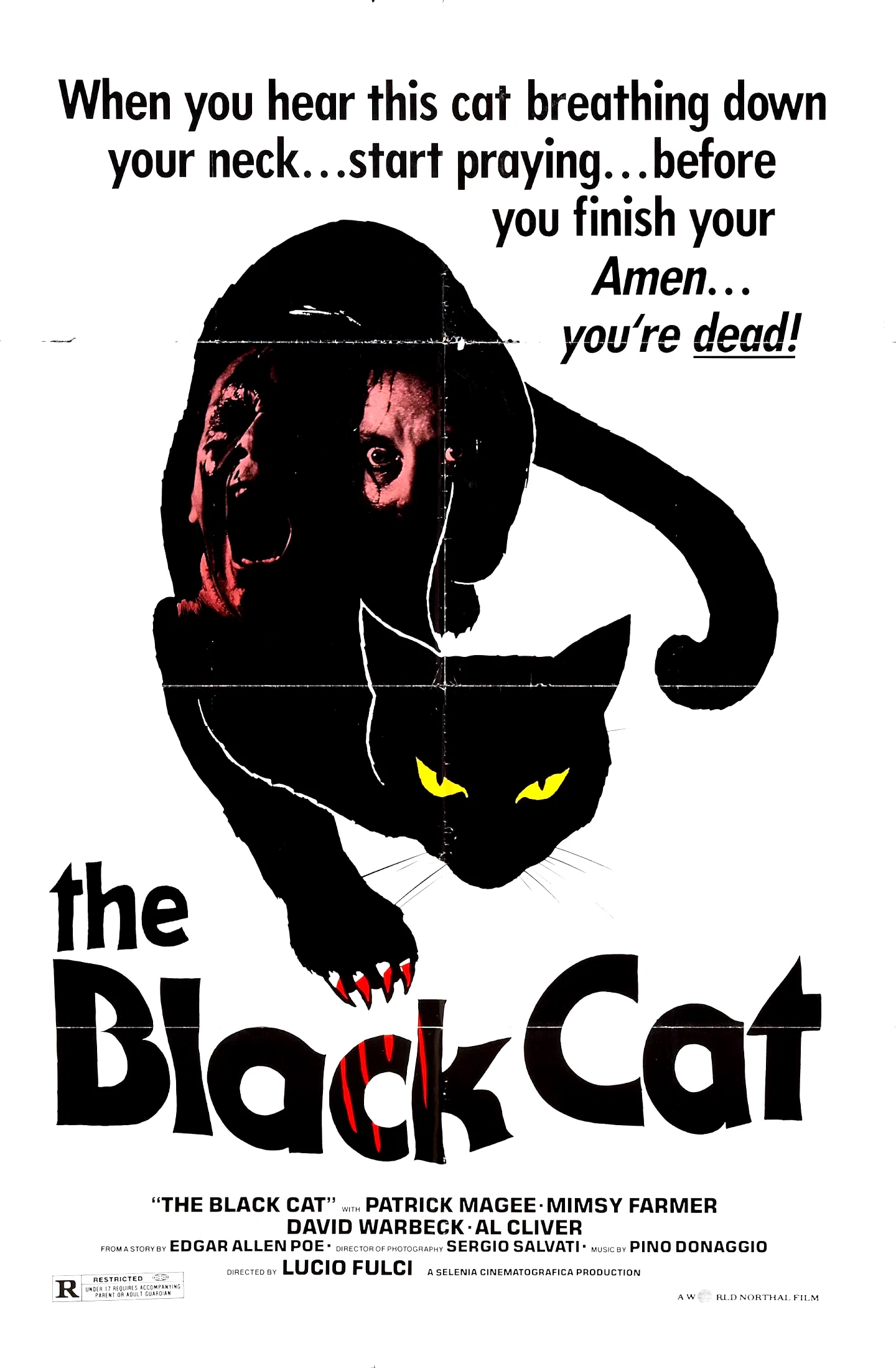 Affiche du film : Le chat noir