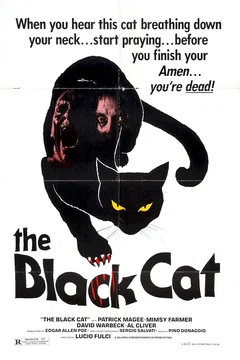 Affiche du film Le chat noir