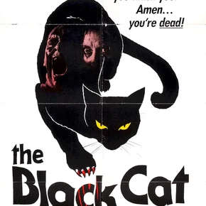 Photo du film : Le chat noir