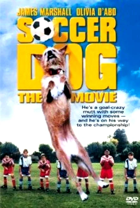 Affiche du film : Soccer dog