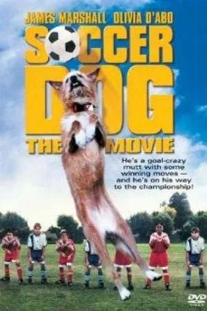 Affiche du film : Soccer dog