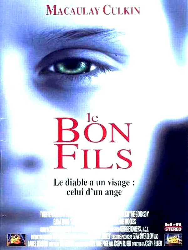 Affiche du film : Le bon fils