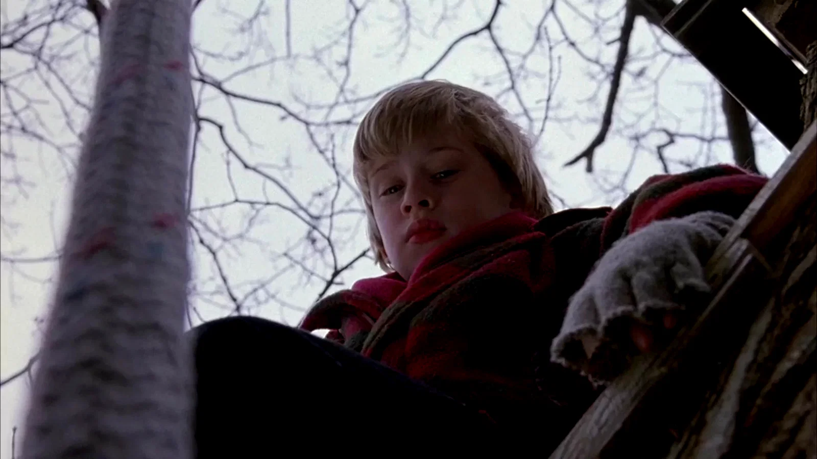 Photo du film : Le bon fils