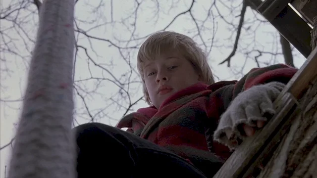 Photo 2 du film : Le bon fils