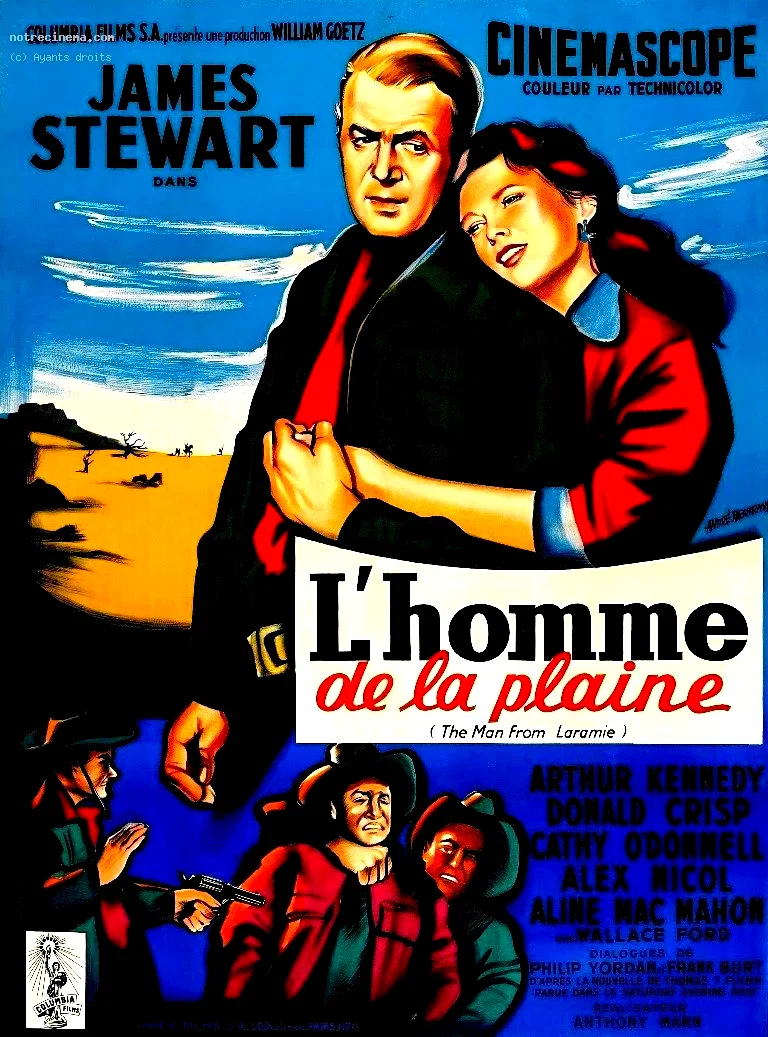 Affiche du film : L'homme de la plaine