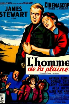 Affiche du film L'homme de la plaine