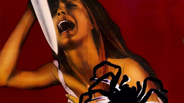 Photo du film : La Tarentule au ventre noir