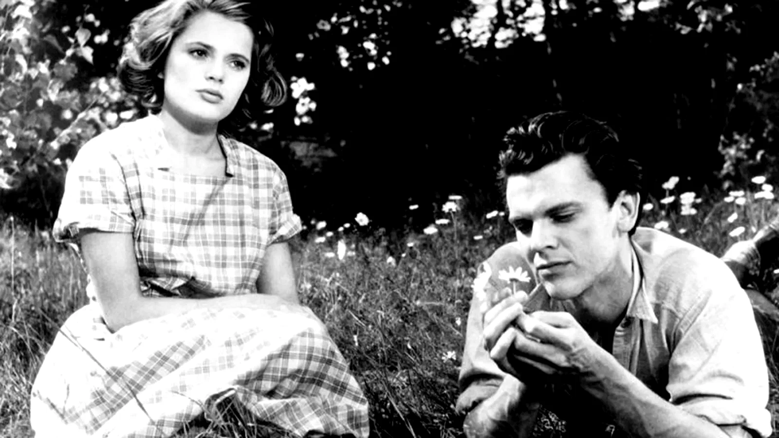 Photo du film : Elle n'a dansé qu'un seul été
