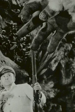 Affiche du film Le fils de kong