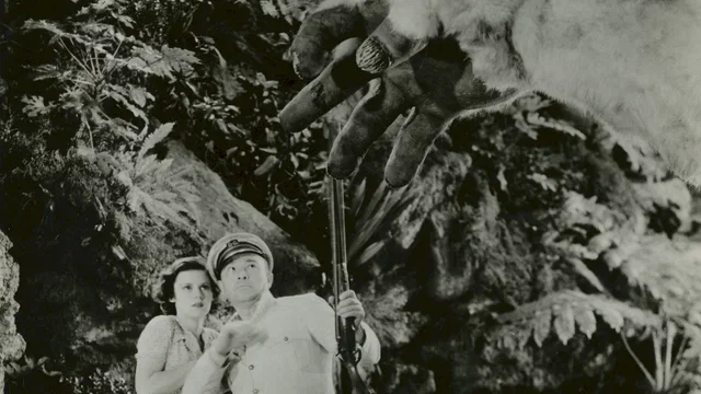 Affiche du film : Le fils de kong