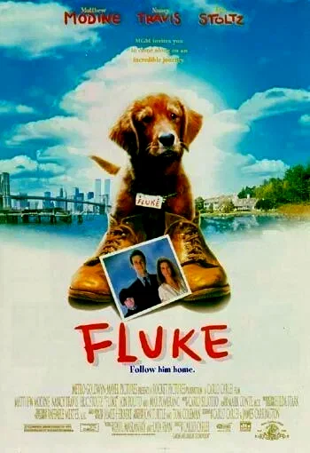 Affiche du film : Fluke