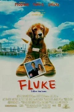Affiche du film Fluke