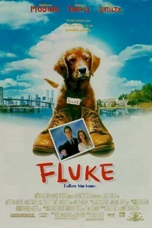 Affiche du film : Fluke