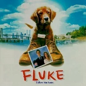 Photo du film : Fluke