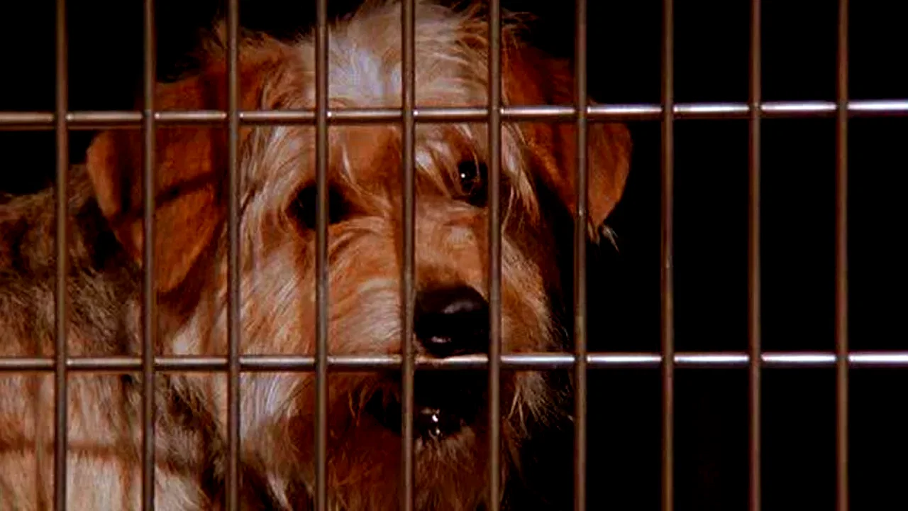 Photo 2 du film : Fluke