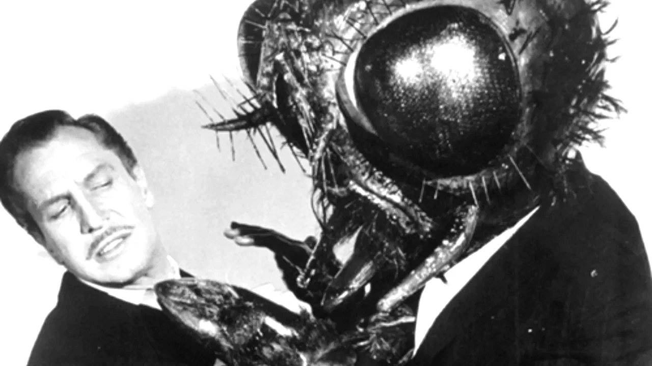 Photo 2 du film : Return of the fly