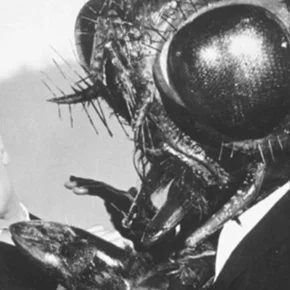 Photo du film : Return of the fly