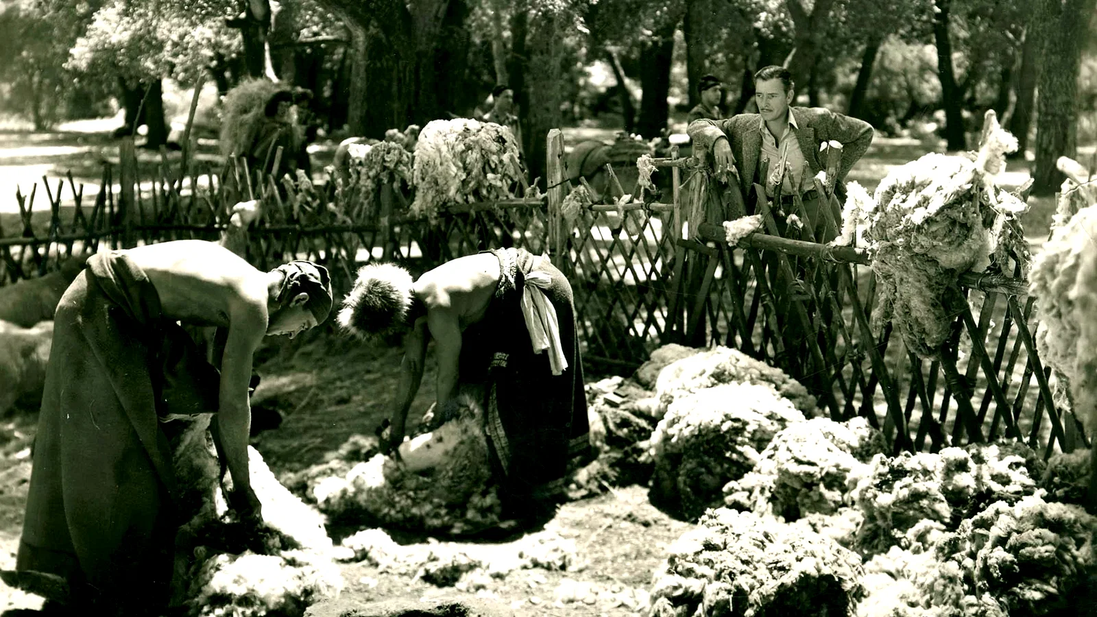 Photo 4 du film : Horizons perdus